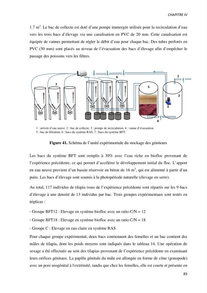 Effet de l’élevage en système biofloc sur les performances zootechniques et physiologiques du Tilapia « Oreochromis niloticus »