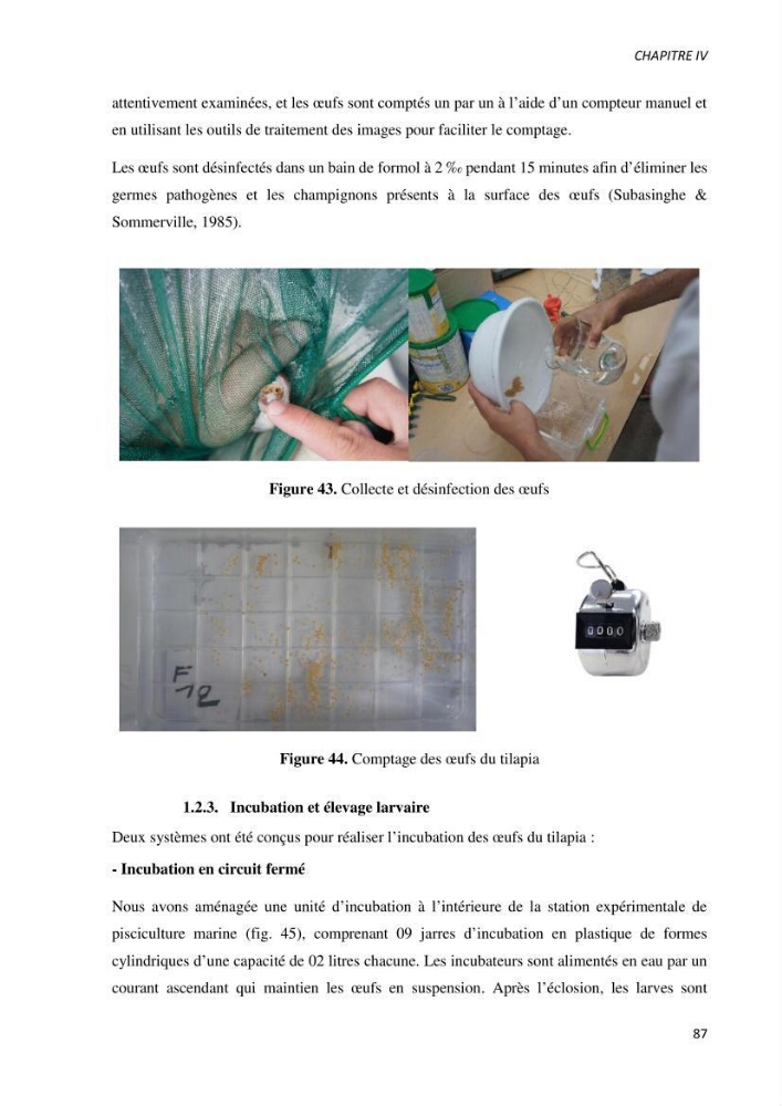 Effet de l’élevage en système biofloc sur les performances zootechniques et physiologiques du Tilapia « Oreochromis niloticus »