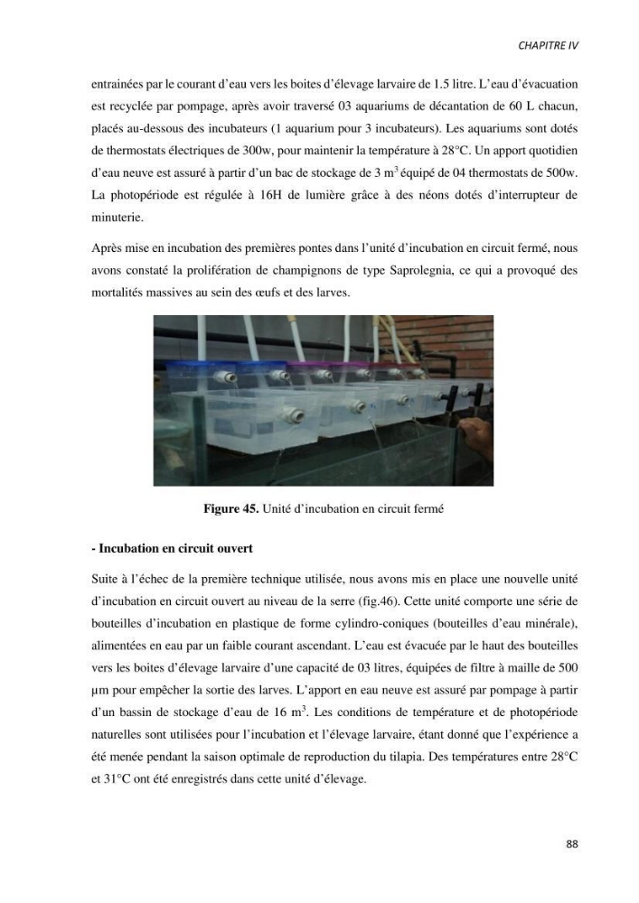 Effet de l’élevage en système biofloc sur les performances zootechniques et physiologiques du Tilapia « Oreochromis niloticus »