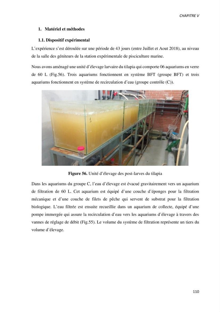 Effet de l’élevage en système biofloc sur les performances zootechniques et physiologiques du Tilapia « Oreochromis niloticus »