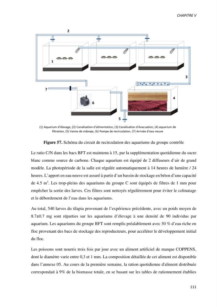 Effet de l’élevage en système biofloc sur les performances zootechniques et physiologiques du Tilapia « Oreochromis niloticus »