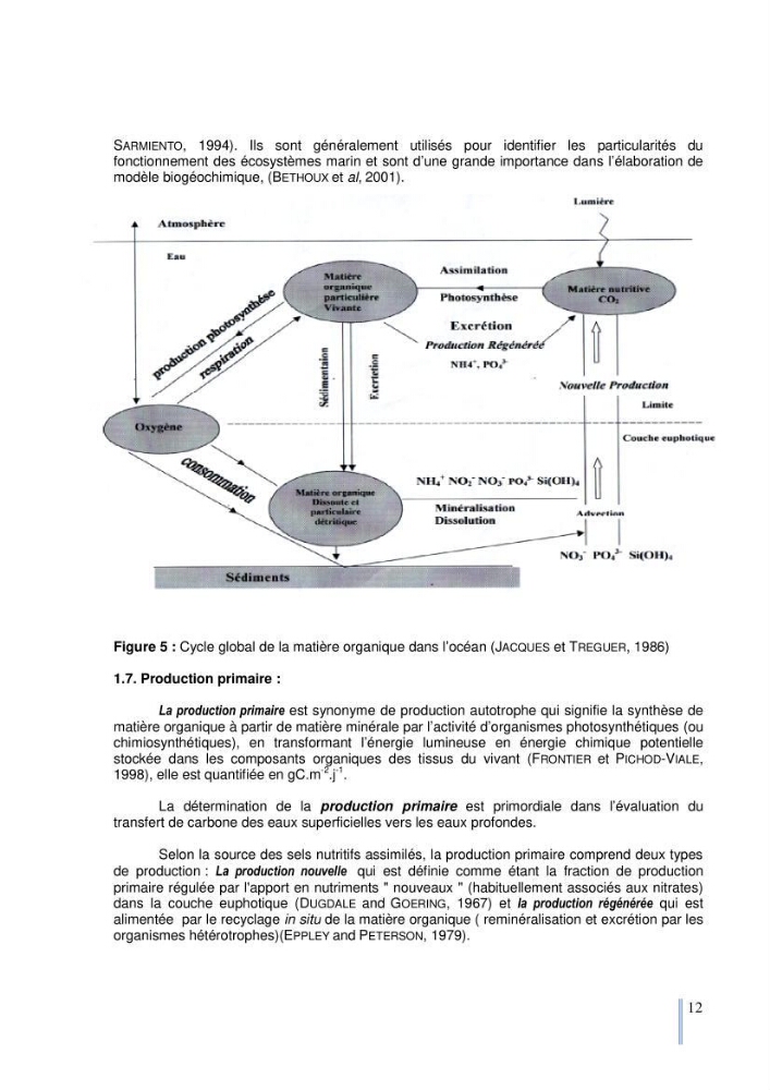 Etude du cycle biogéochimique du carbone dans le bassin algéro-provençal: