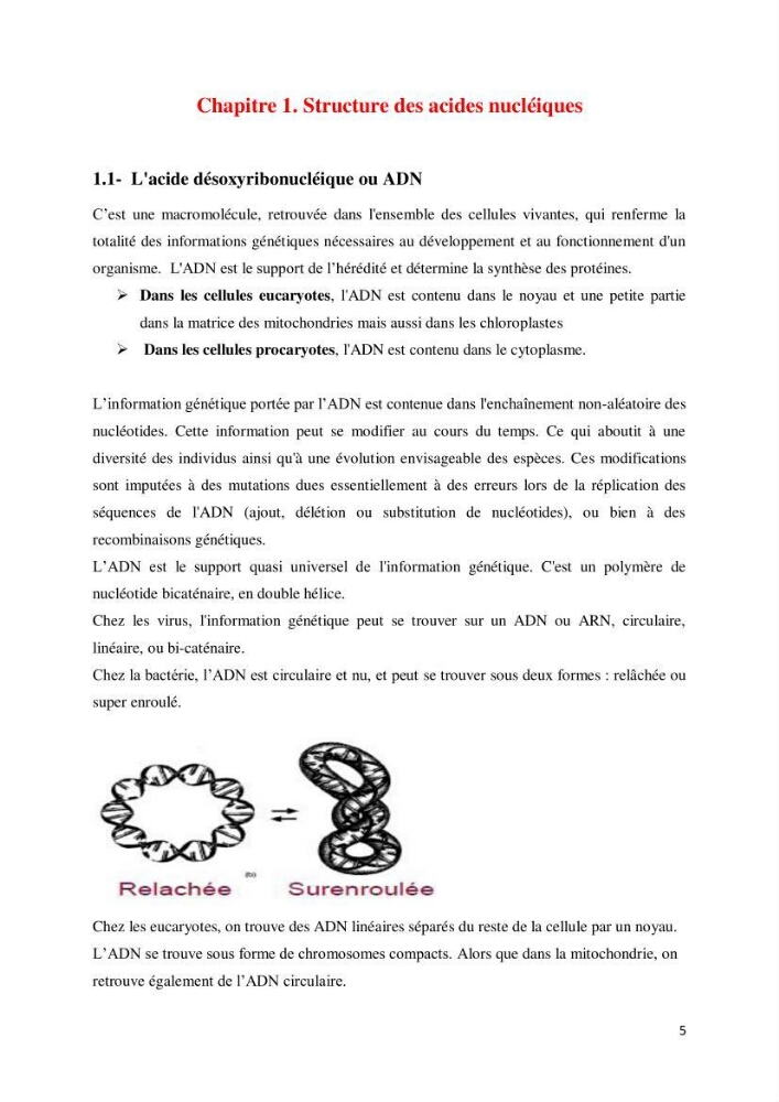 Biologie moléculaire et génie génétique 2: support de cours