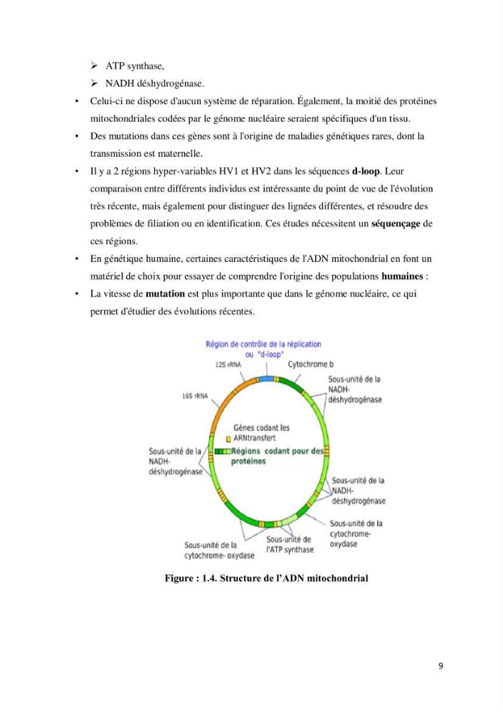 Biologie moléculaire et génie génétique 2: support de cours