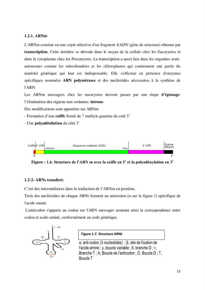 Biologie moléculaire et génie génétique 2: support de cours