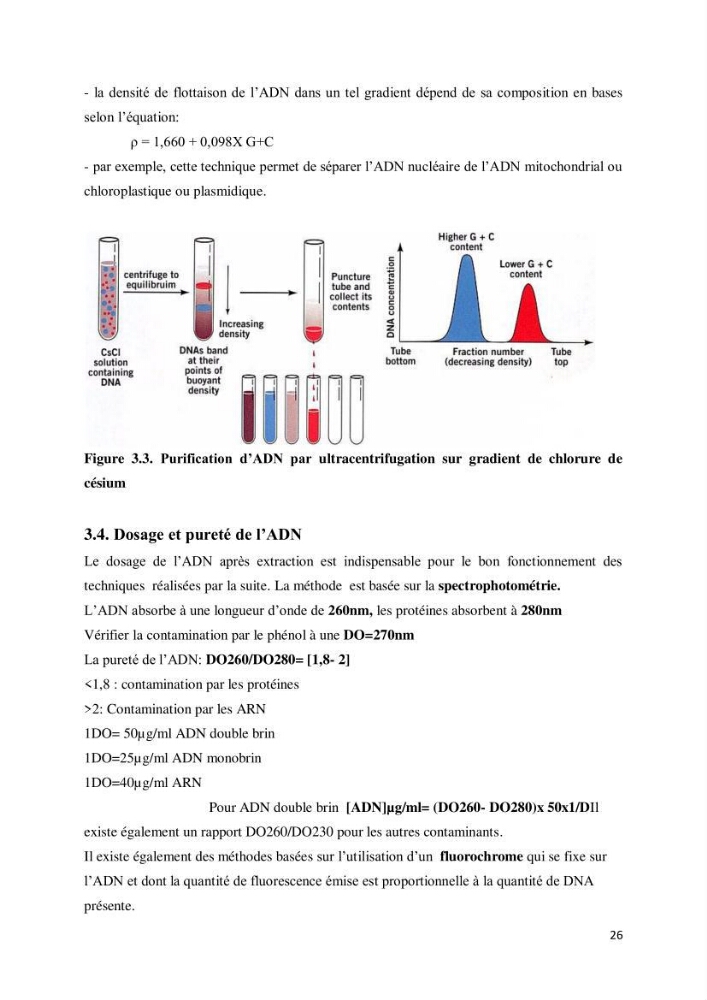 Biologie moléculaire et génie génétique 2: support de cours