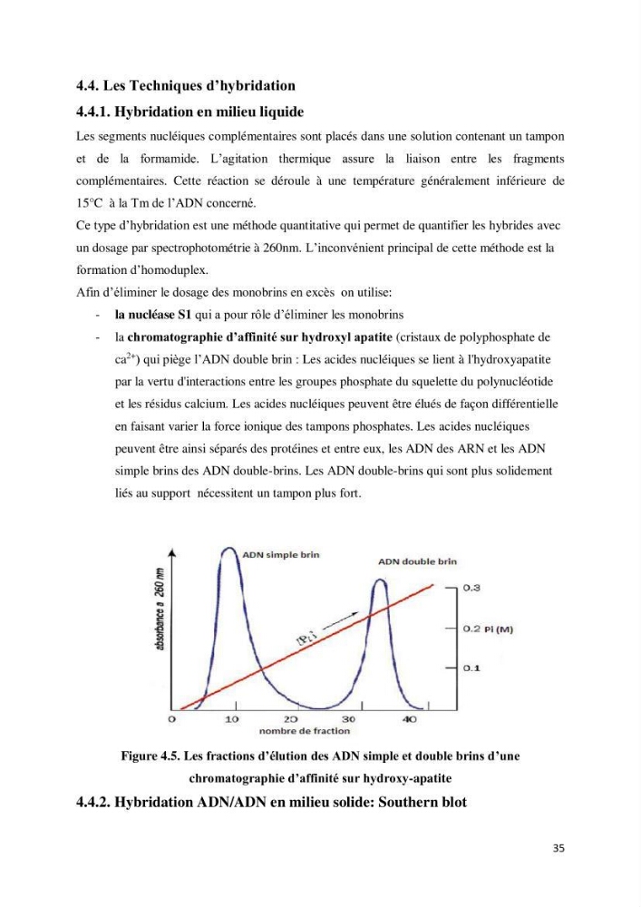 Biologie moléculaire et génie génétique 2: support de cours