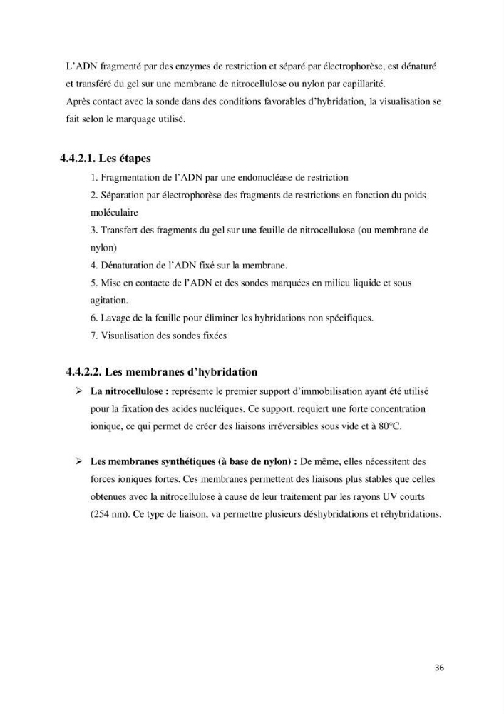 Biologie moléculaire et génie génétique 2: support de cours
