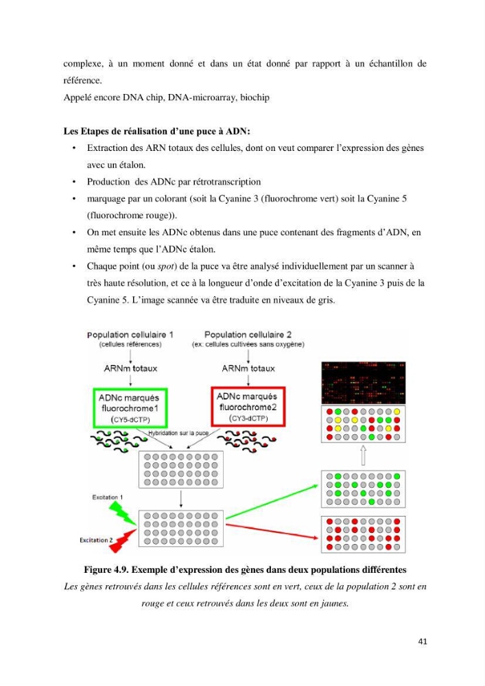Biologie moléculaire et génie génétique 2: support de cours