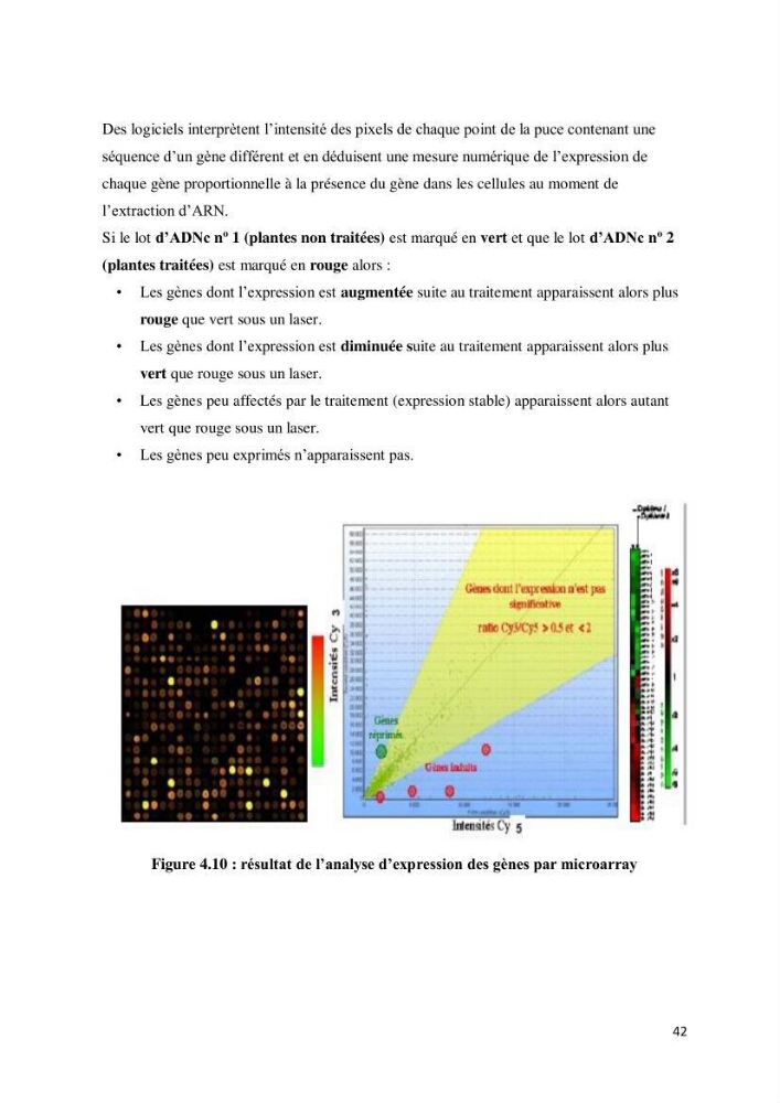 Biologie moléculaire et génie génétique 2: support de cours