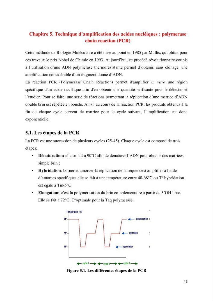 Biologie moléculaire et génie génétique 2: support de cours