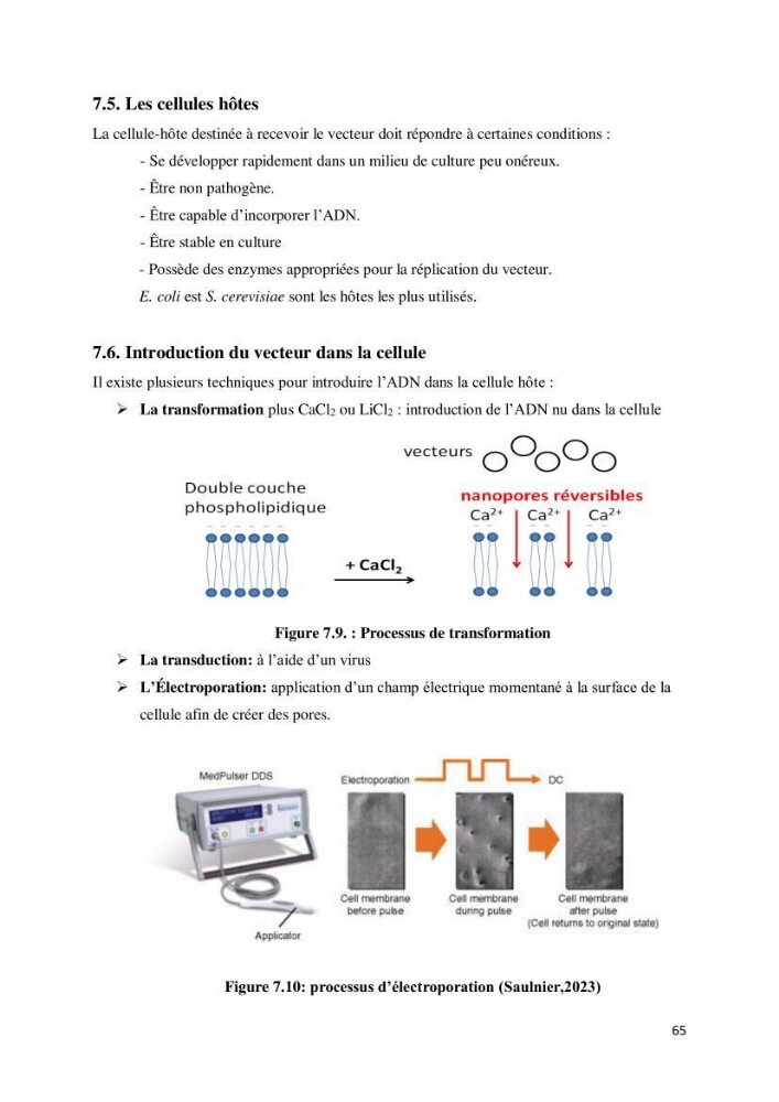Biologie moléculaire et génie génétique 2: support de cours