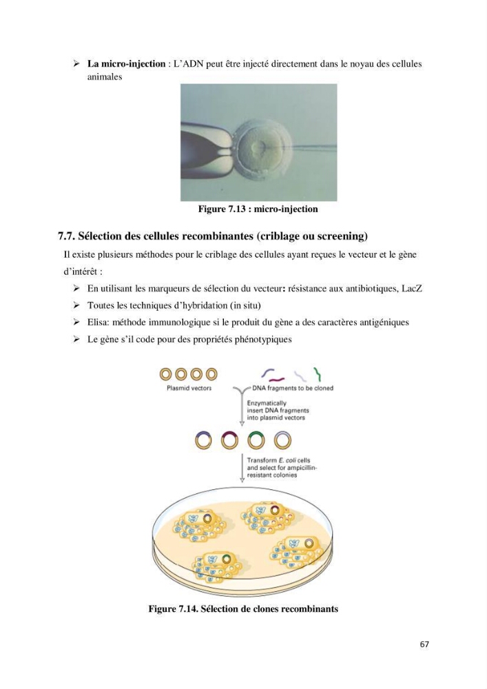 Biologie moléculaire et génie génétique 2: support de cours