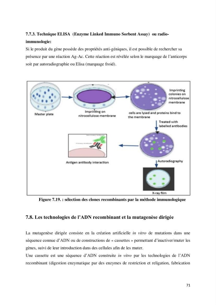 Biologie moléculaire et génie génétique 2: support de cours