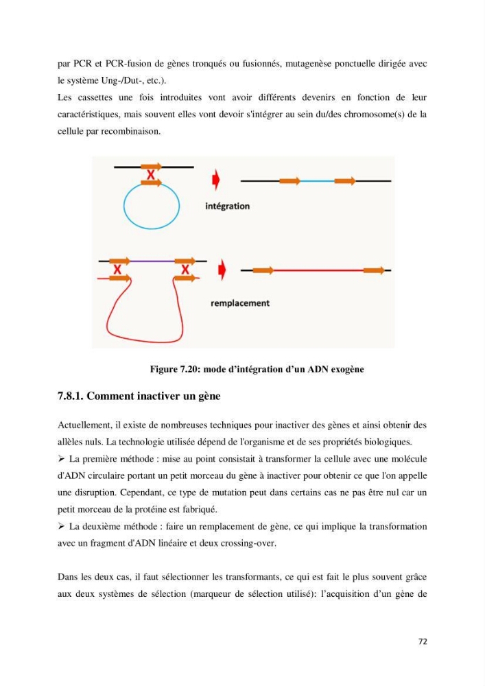 Biologie moléculaire et génie génétique 2: support de cours