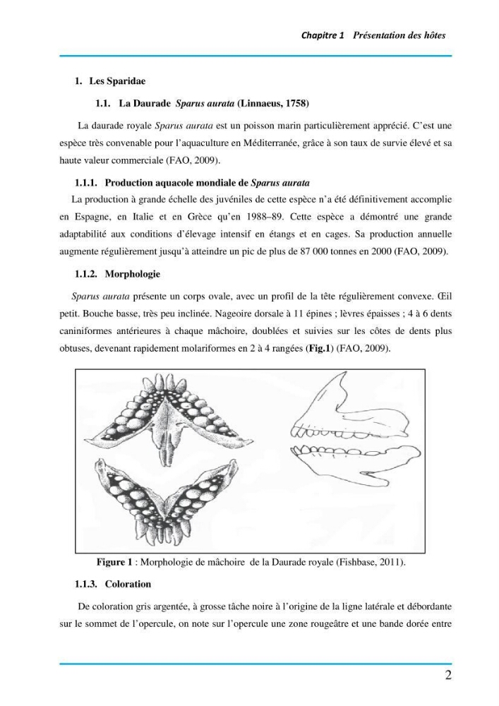 Inventaire des Monogènes parasites des poissons marins en Algérie