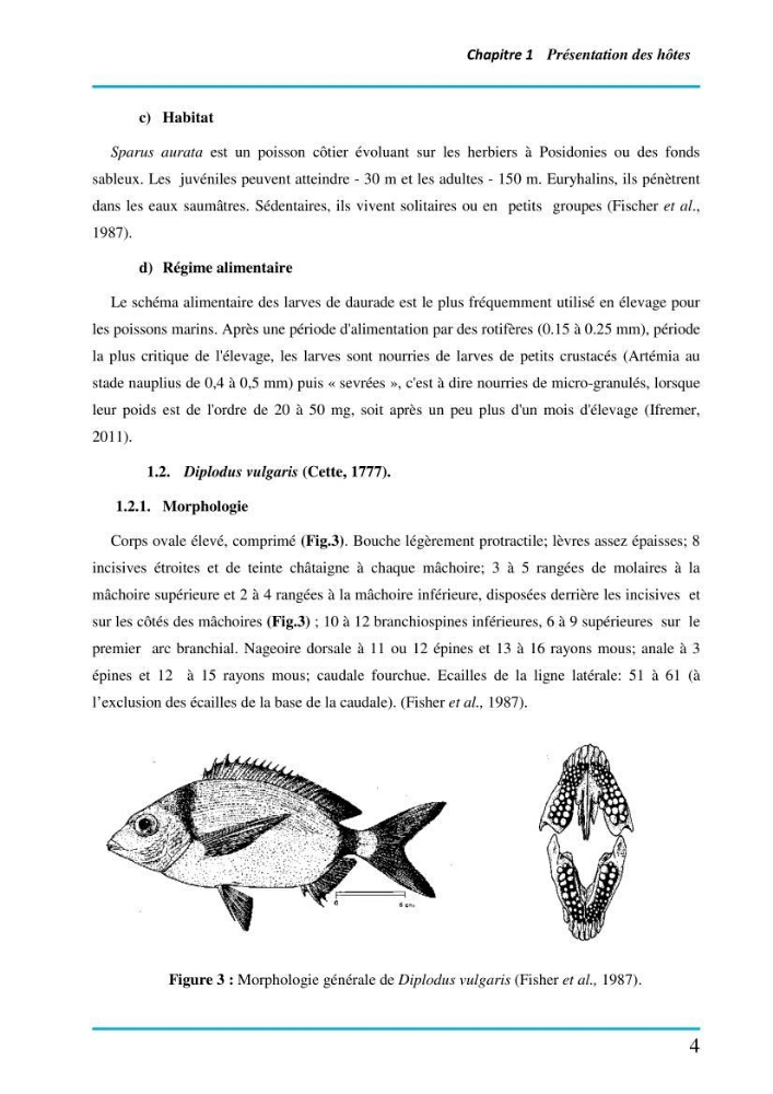 Inventaire des Monogènes parasites des poissons marins en Algérie