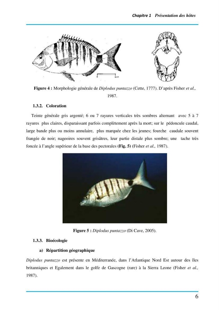 Inventaire des Monogènes parasites des poissons marins en Algérie