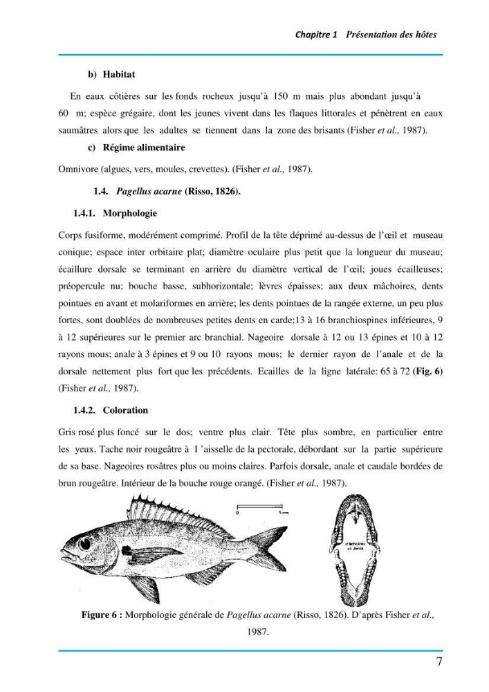 Inventaire des Monogènes parasites des poissons marins en Algérie