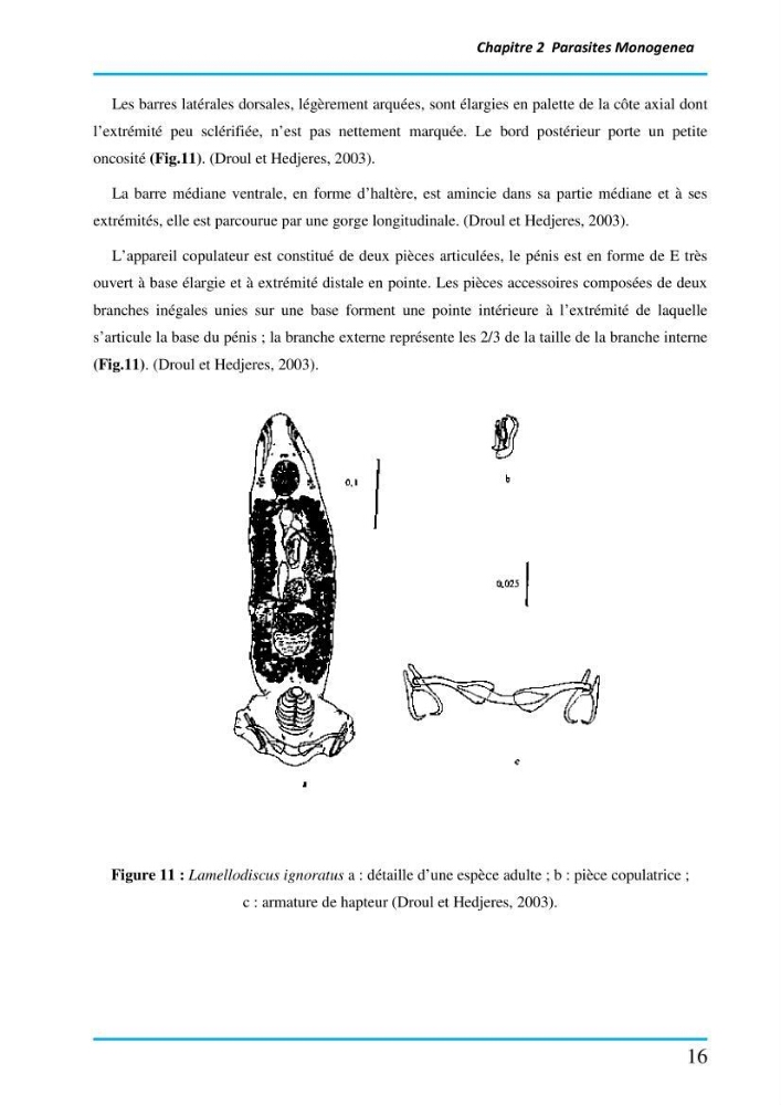 Inventaire des Monogènes parasites des poissons marins en Algérie