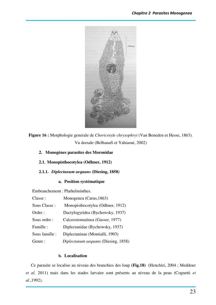 Inventaire des Monogènes parasites des poissons marins en Algérie