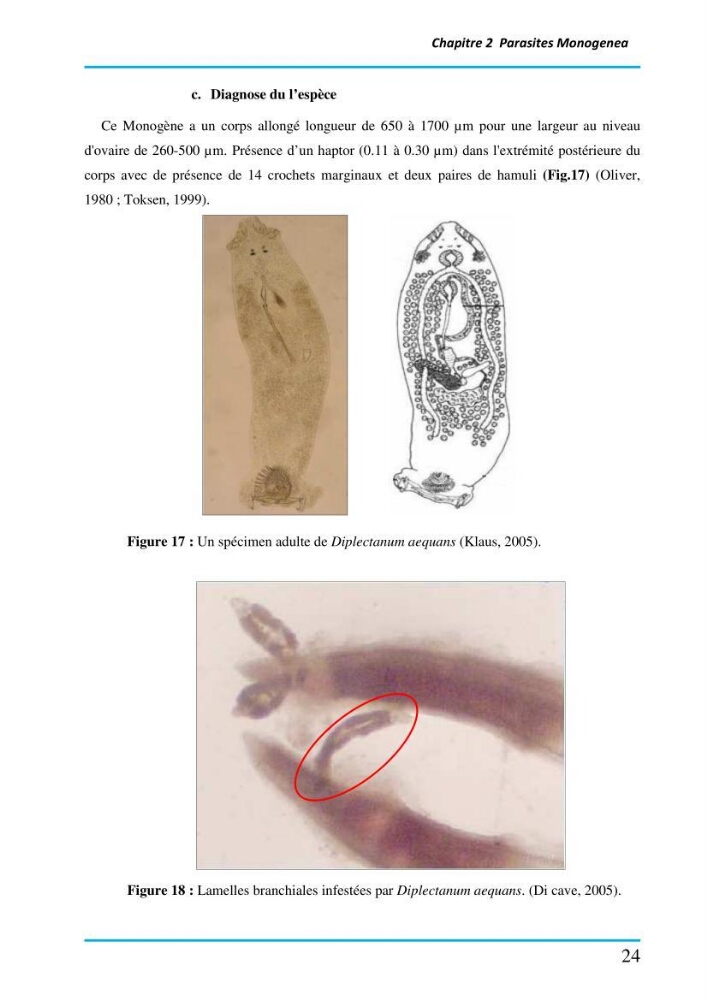 Inventaire des Monogènes parasites des poissons marins en Algérie