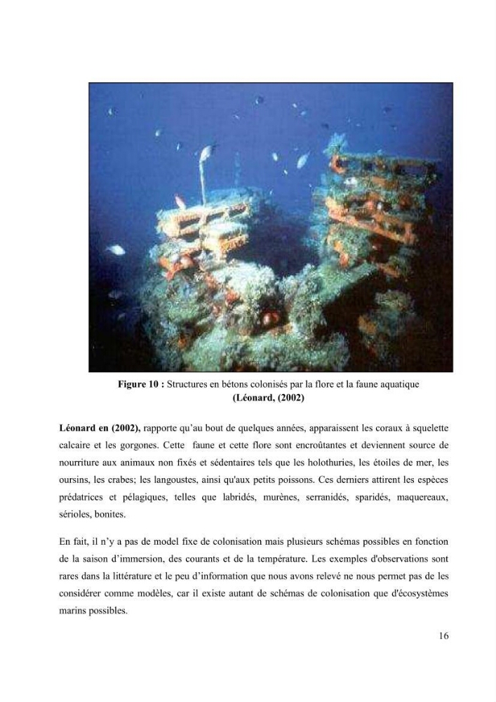 Les récifs artificiels