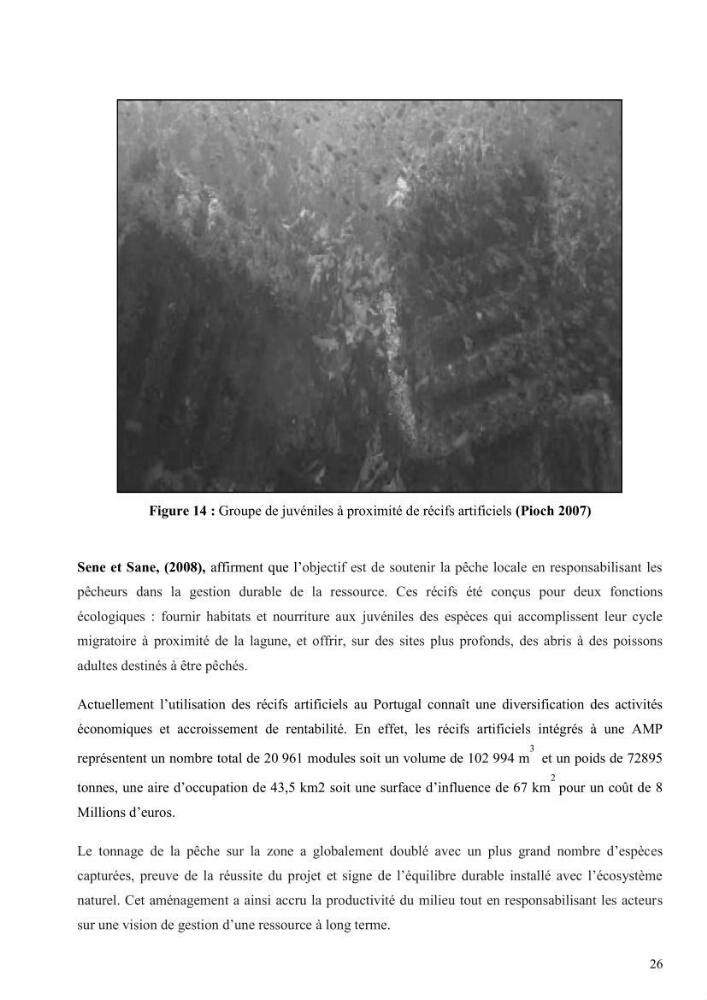 Les récifs artificiels