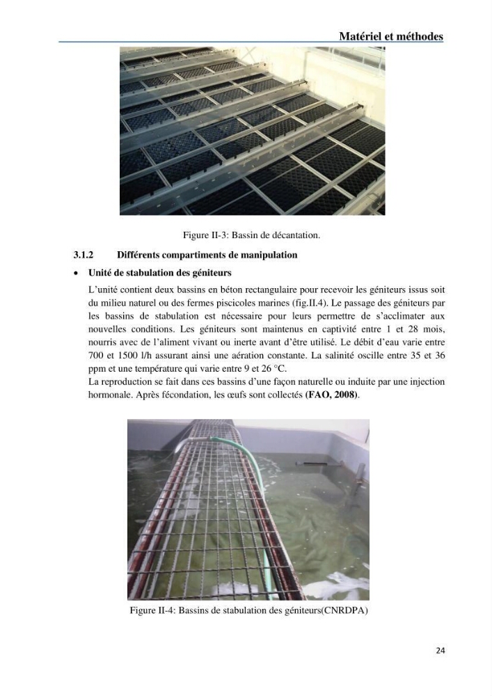 Fonctionnement d’une écloserie marine cas du CNRDPA et production de proies vivantes (Chlorella ellipsoïdae et Brachionus plicatilis)