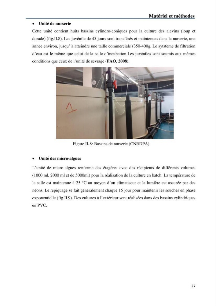 Fonctionnement d’une écloserie marine cas du CNRDPA et production de proies vivantes (Chlorella ellipsoïdae et Brachionus plicatilis)