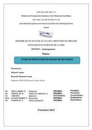 Etude de protection du rivage de Sidi Ghiles: