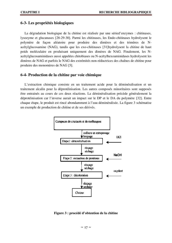 Les applications biomédicales et pharmaceutiques de la chitine et du chitosane