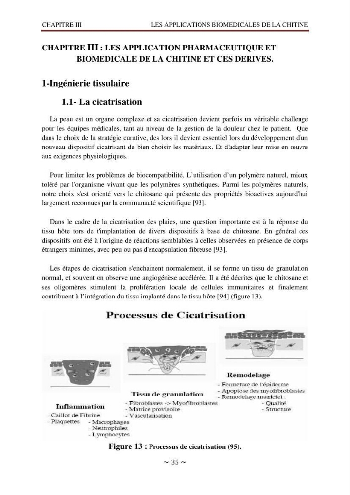 Les applications biomédicales et pharmaceutiques de la chitine et du chitosane
