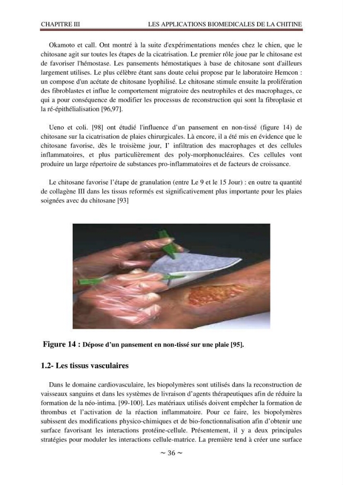 Les applications biomédicales et pharmaceutiques de la chitine et du chitosane