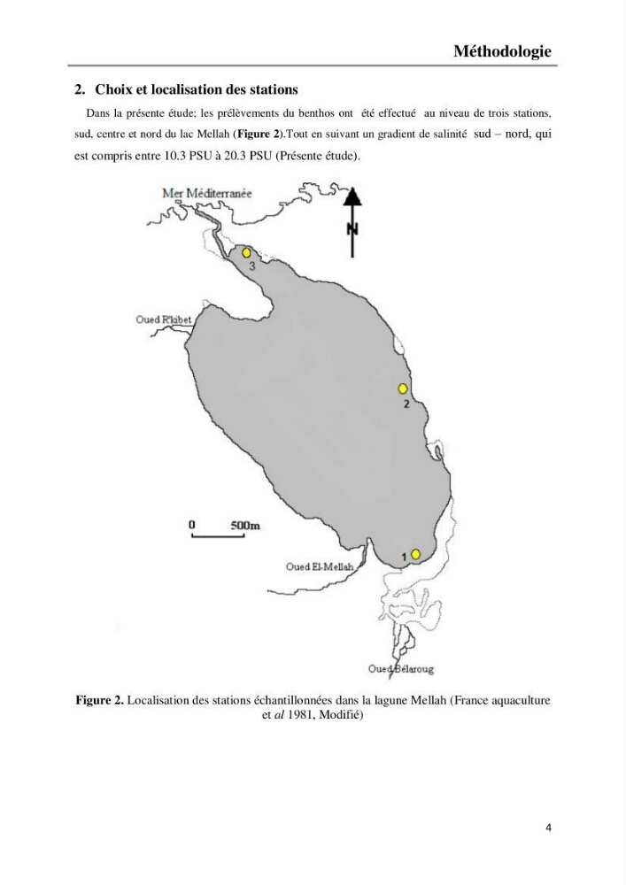 Etude de la structure du peuplement benthique de la lagune Mellah (El-Kala, Algérie) prélèvements: mai 2017 et mai 2018