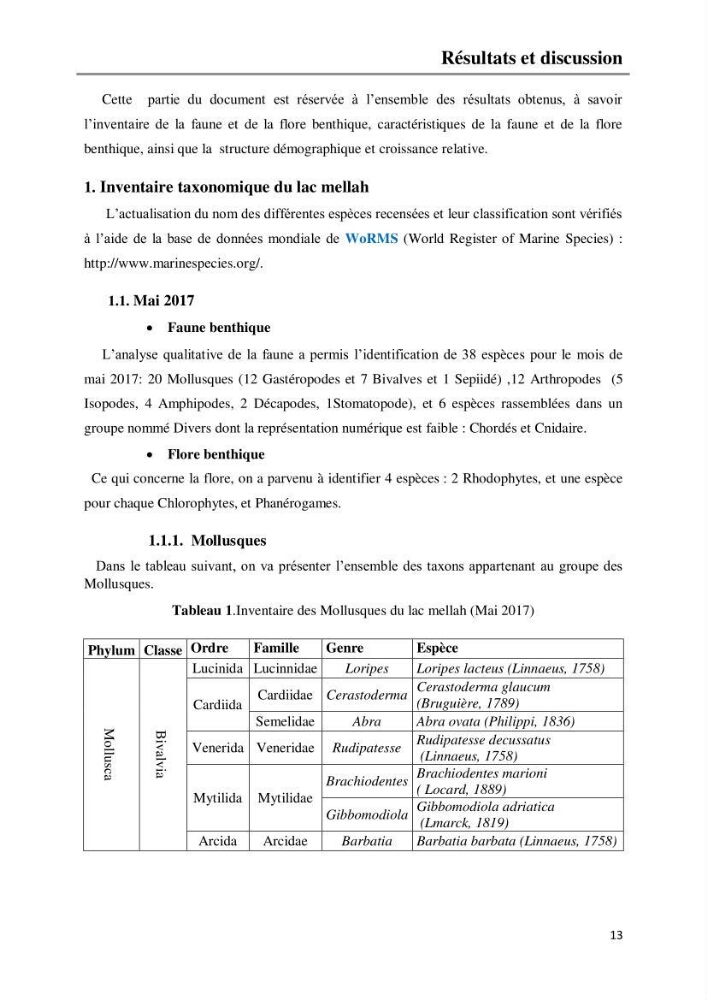 Etude de la structure du peuplement benthique de la lagune Mellah (El-Kala, Algérie) prélèvements: mai 2017 et mai 2018