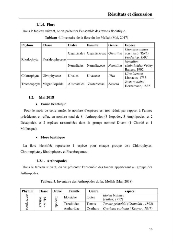 Etude de la structure du peuplement benthique de la lagune Mellah (El-Kala, Algérie) prélèvements: mai 2017 et mai 2018