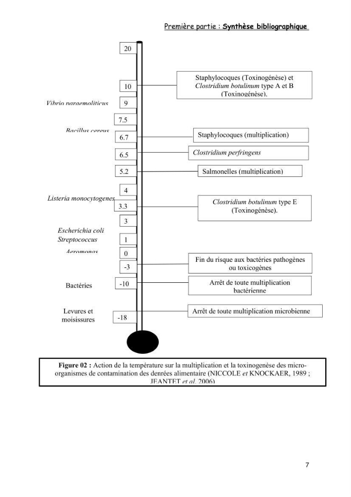 Evaluation de la qualité microbiologique de filets congelé du Panda (Pangaisius hypophthamus)