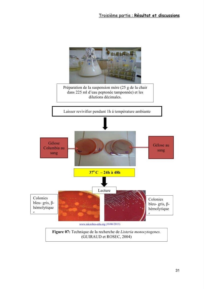 Evaluation de la qualité microbiologique de filets congelé du Panda (Pangaisius hypophthamus)