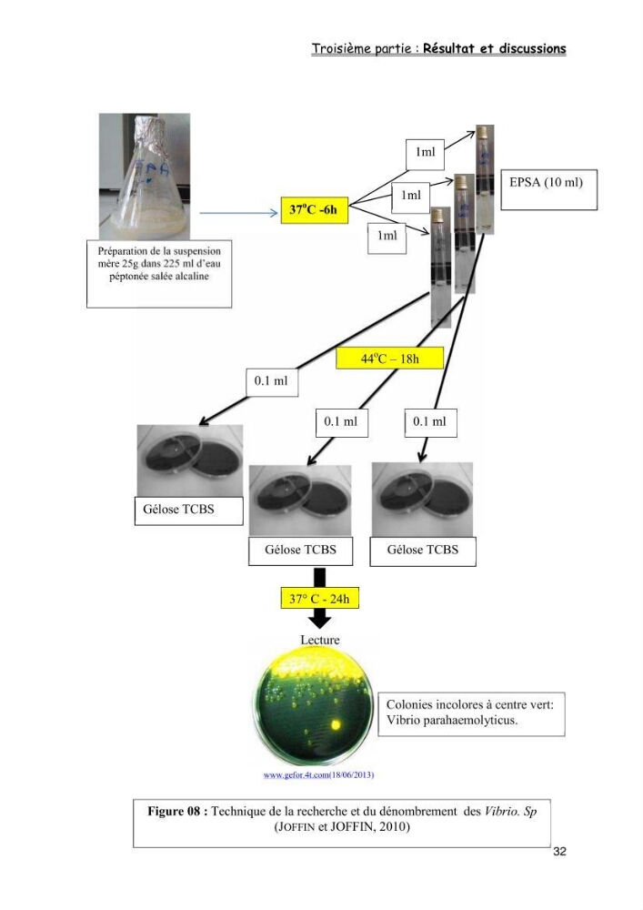 Evaluation de la qualité microbiologique de filets congelé du Panda (Pangaisius hypophthamus)