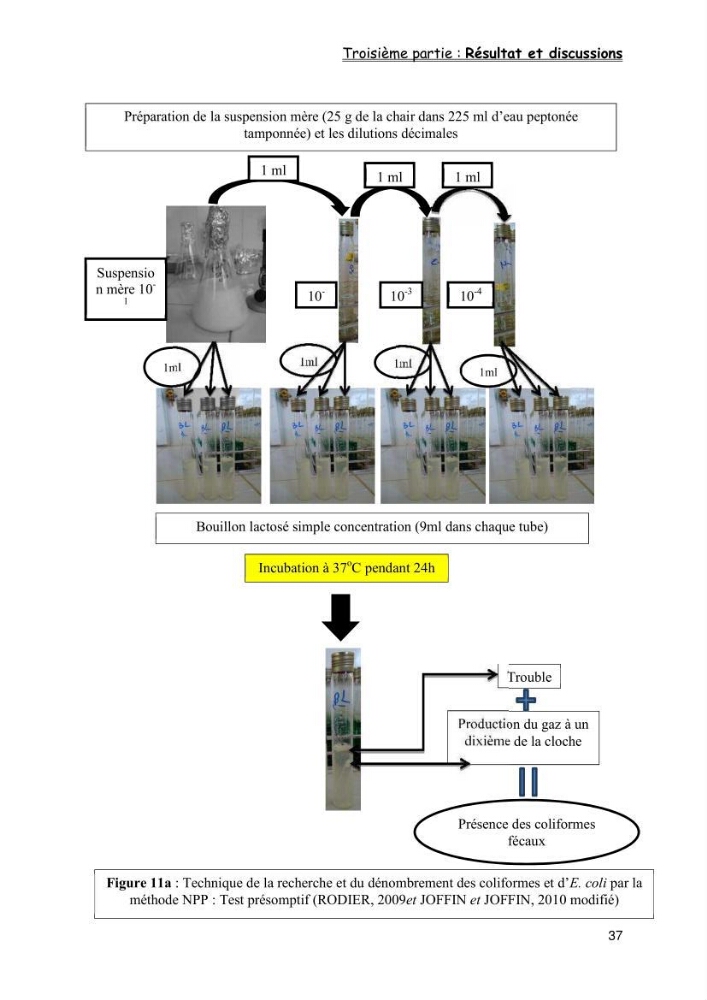 Evaluation de la qualité microbiologique de filets congelé du Panda (Pangaisius hypophthamus)