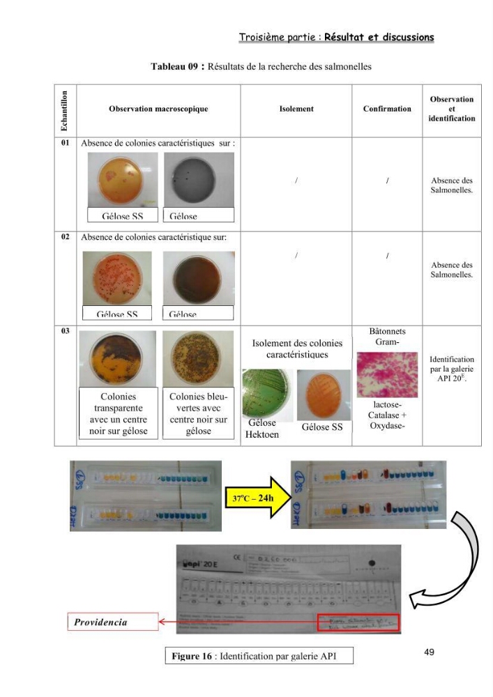 Evaluation de la qualité microbiologique de filets congelé du Panda (Pangaisius hypophthamus)