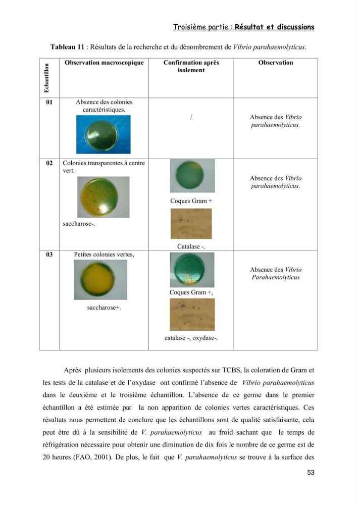 Evaluation de la qualité microbiologique de filets congelé du Panda (Pangaisius hypophthamus)