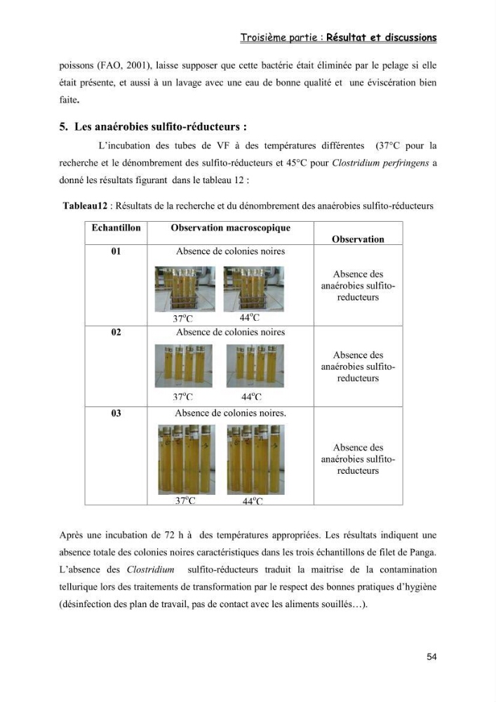 Evaluation de la qualité microbiologique de filets congelé du Panda (Pangaisius hypophthamus)