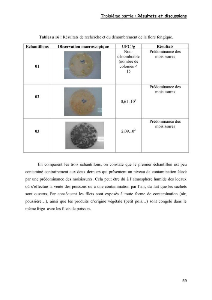 Evaluation de la qualité microbiologique de filets congelé du Panda (Pangaisius hypophthamus)
