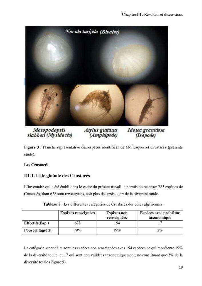 Actualisation de l’Inventaire National des Mollusques et des Crustacés de la côte algérienne