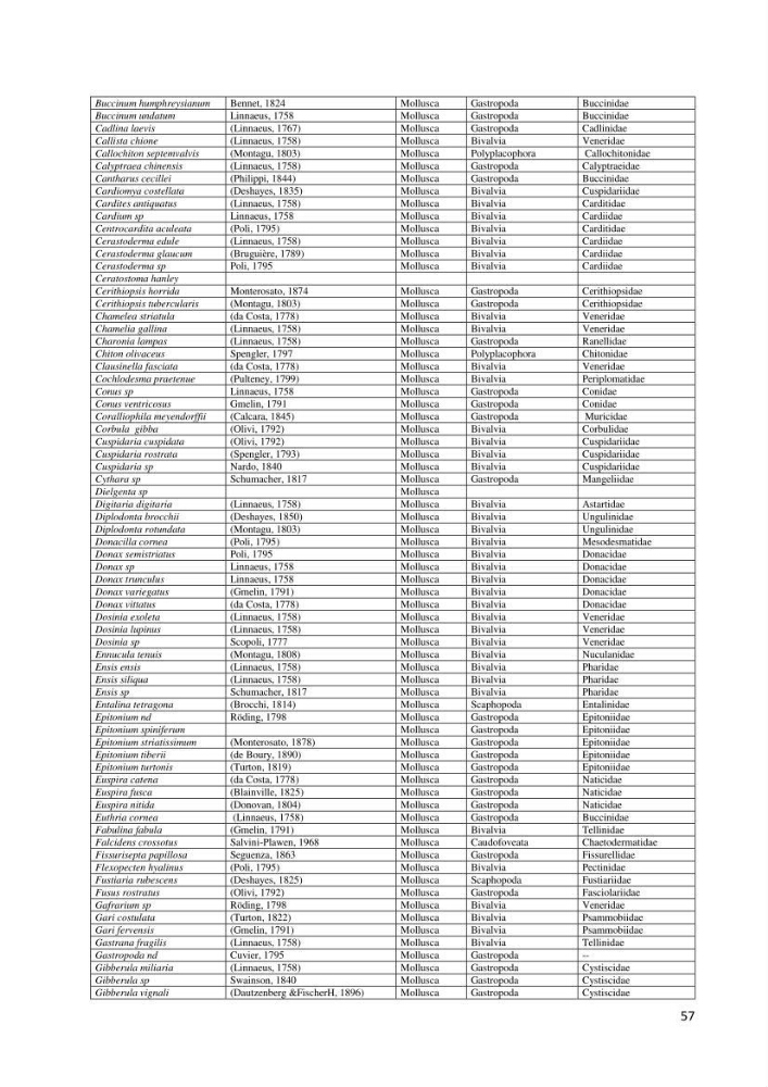 Actualisation de l’Inventaire National des Mollusques et des Crustacés de la côte algérienne