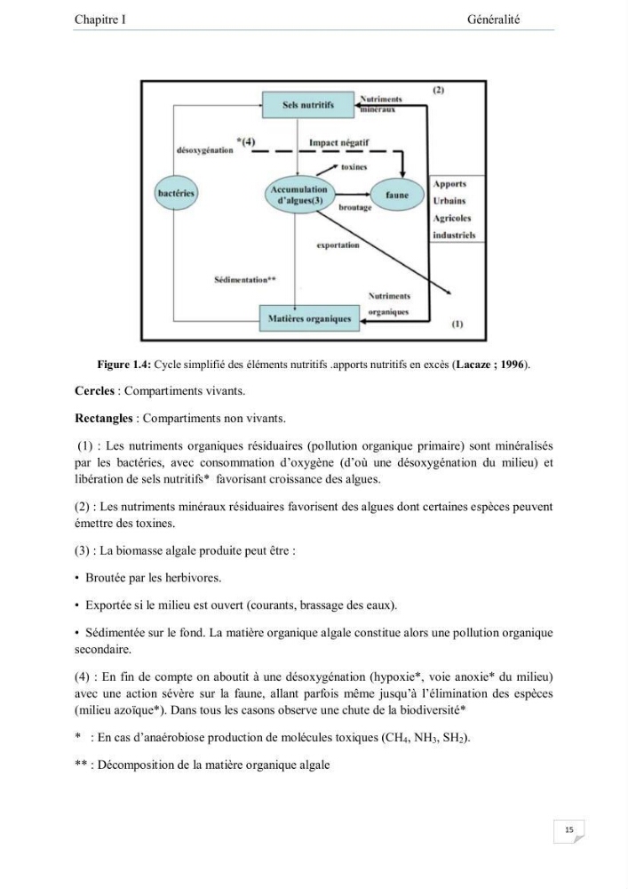 Contribution à l\'étude de la qualité des eaux et des sédiments de la plage ouest de Sidi Fredj