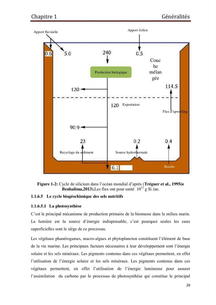 Les paramètres physico-chimiques et les sels nutritifs dans les eaux côtières Algéroises ( Baie d\'Alger, la baie de Bou-Ismail
