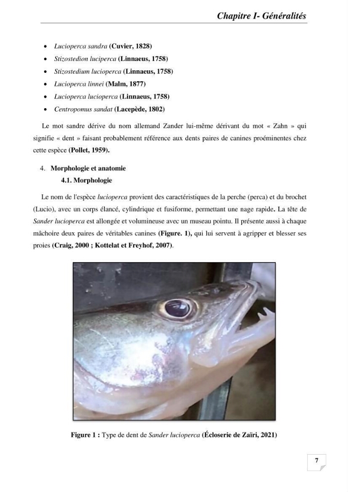 Contribution à la reproduction semi-contrôlée et à l’élevage larvaire d’une espèce carnassière d’eau douce : Cas de Sander lucioperca